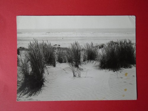 Cpsm ile oleron plage la - plage,