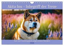 Akita Inu - l'incarnation de