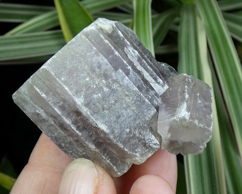 Aragonite mauve minglanilla - mauve,