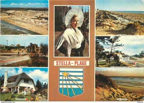 Carte postale stella - carte,