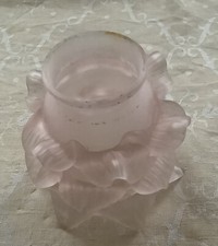 Ancienne tulipe double petale