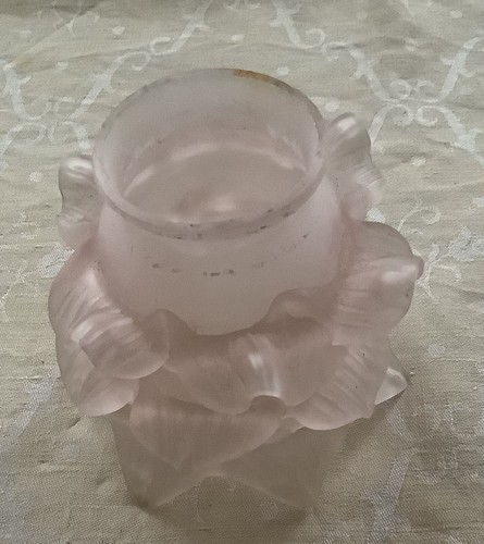 Ancienne tulipe double petale