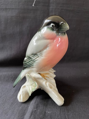 Karl ens oiseau bouvreuil - karl,