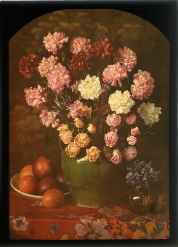Autochrome 13x18 composition - autochrome,