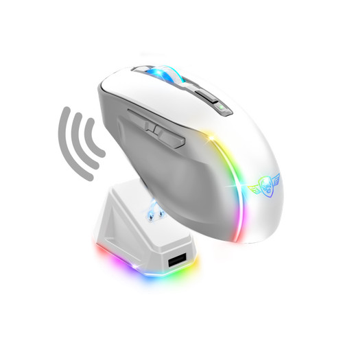 Souris sans fil - , socle