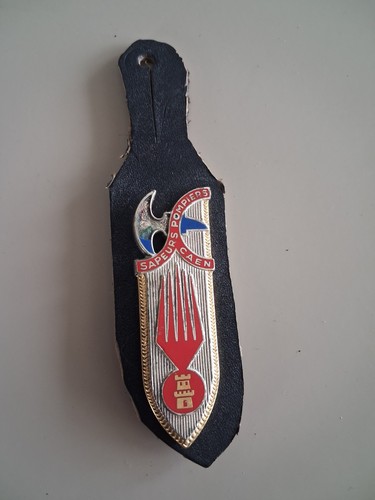 Insigne pucelle sapeurs - insigne,