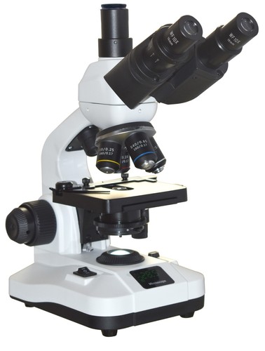 Microscope laboratoire - microscope,