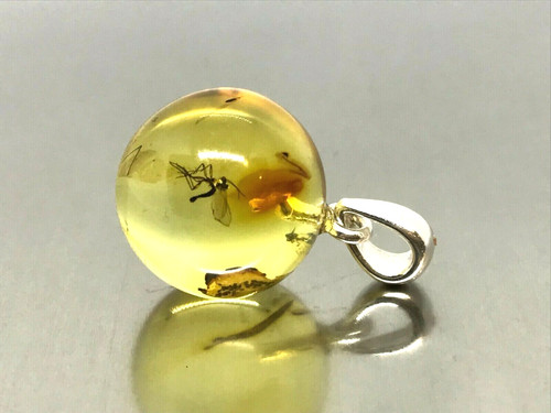 Pendentif ambre cadeau insect - cadeau,