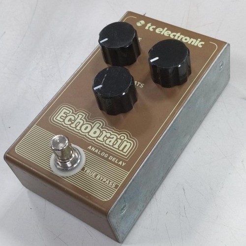 Electronic echobrain analog - tc,