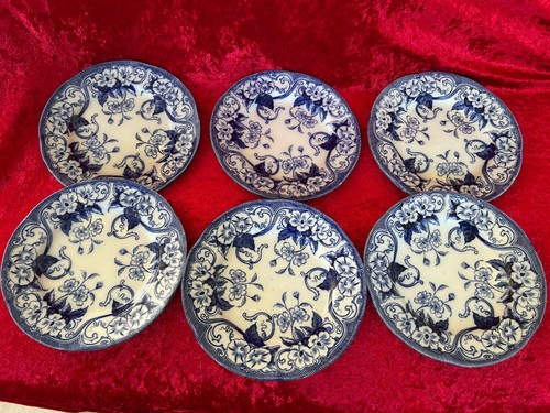 Magnifiques assiettes à - 6,