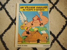 Livre un village gaulois au