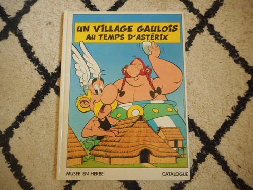 Livre village gaulois au - livre, un