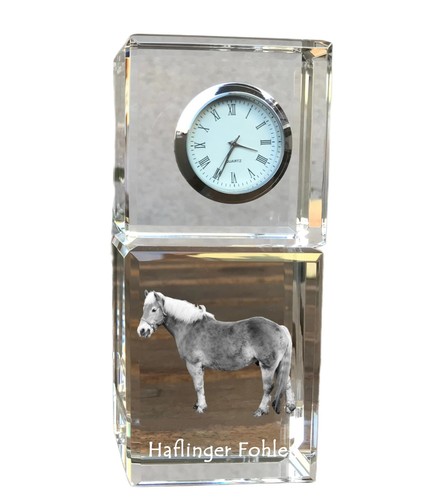 Haflinger fohlen horloge - fohlen, en