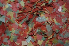 Aquarium Poisson Rouge &