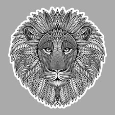 Tete lion roi afrique - de,