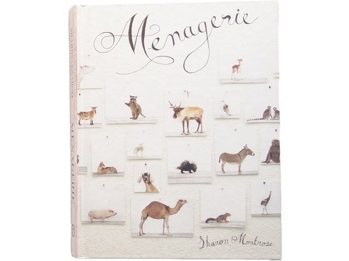 Livre photo animalier zoo