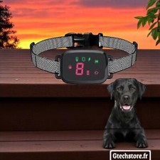 Collier Anti-Aboiement Automatique HD & Étanche pour chien