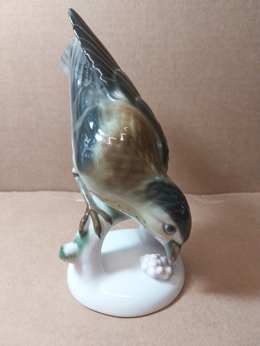 Ancien grand oiseau - grand, en