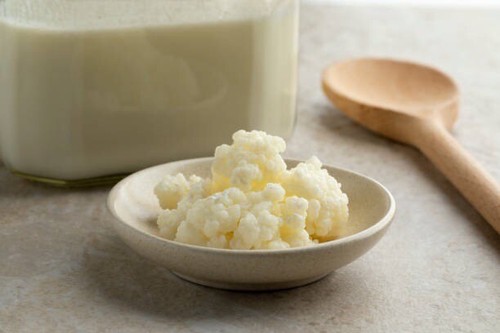 Grains kéfir lait bio - grains,