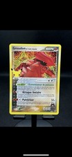 Carte Pokémon Groudon de Team