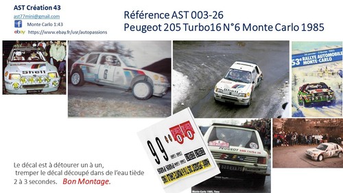 Decal peugeot 205 turbo - 43,