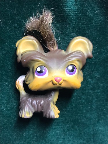 Petshop chien - 💖🌺petshop,