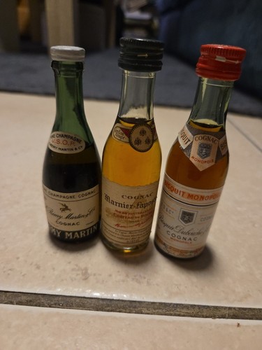 Lot mignonnettes cognac - 3,