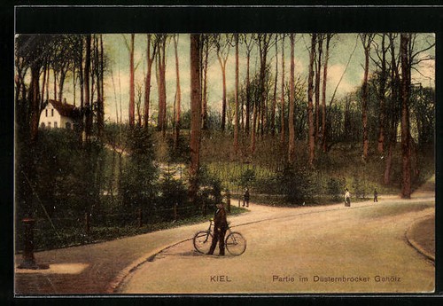 Quille partie dans bois - partie, le