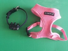 BEAU -LOT DE HARNAIS ET COLLIERS ET UN COLLIER ANTI ABOIMENT + LAISSE-