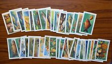 Entremets FRANCORUSSE - HISTOIRE NATURELLE album n° 3 choix d'images / chromos