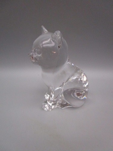Chat cristal - chat, en