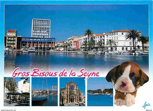 Carte postale animaux - -,