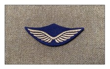 Ww2 Fafl pilote aviation Raf Aaf Lw chasse bombardement casquette dday 1940 gc