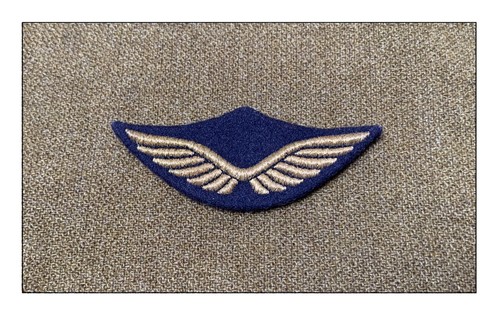 Ww2 fafl pilote aviation raf - pilote,