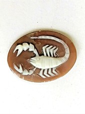 CAMÉE vintage scorpion BROCHE Miniatur PENDENTIF cameo  NACRE or FILIGRANE 13