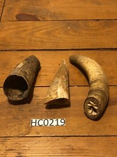 Hill Country Cow Horns small