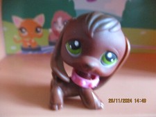 Petshop Chien Beagle #77 +