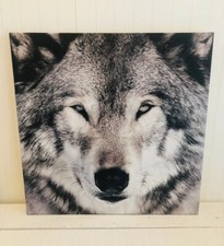 Great Wolf Lodge Wall Art