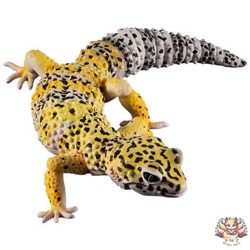 Mini figurine avancée - , leopard