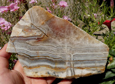 Rare Tranche Agate Montredon Labessonnié Tarn 16x11cm Minéraux collection pierre