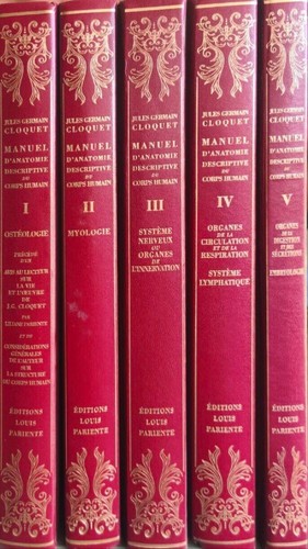 Manuel anatomie descriptive - manuel, d'anatomie