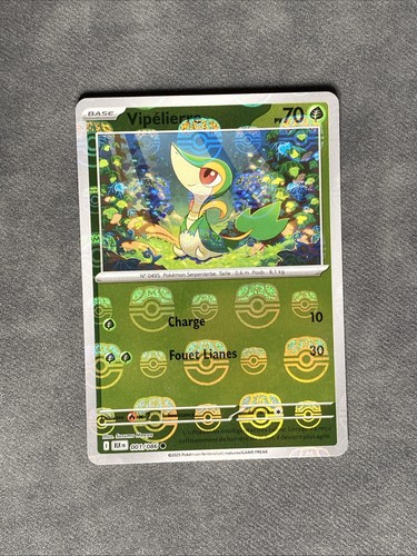 Carte pokémon vipélierre - carte,