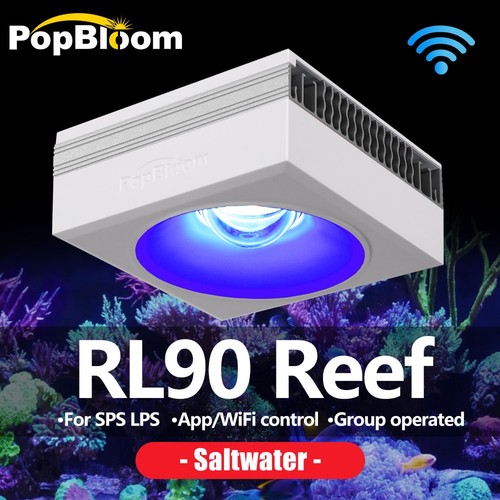 Popbloom rl90 wifi - popbloom,