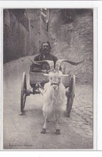 DINARD : attelage à chèvre -