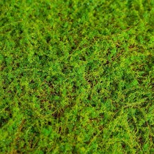 Tapis Mousse Artificielle