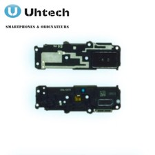 Module Haut-Parleur pour