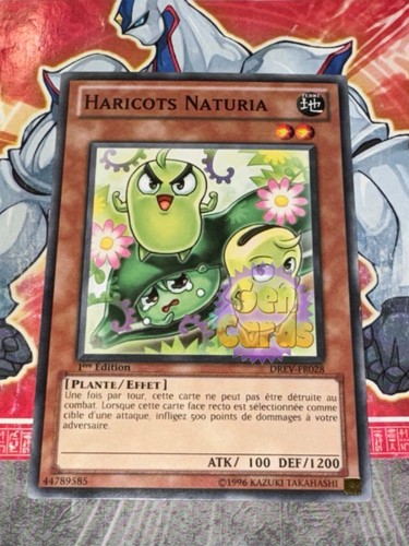 Carte oh haricots - oh,