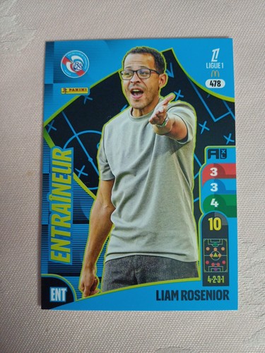 Panini adrenalyn ligue1 - adrenalyn,