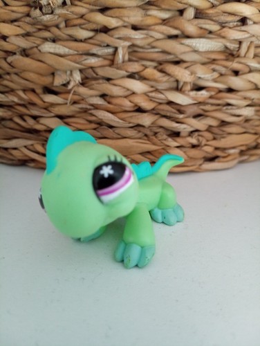 Petshop iguane jeu - iguane,