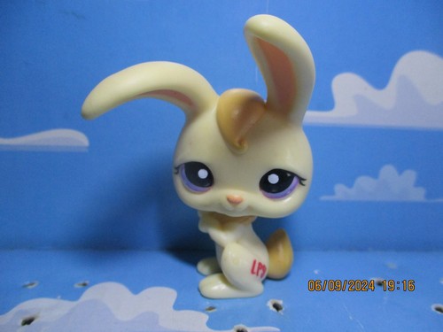 Petshop lapin garenne - lapin, de